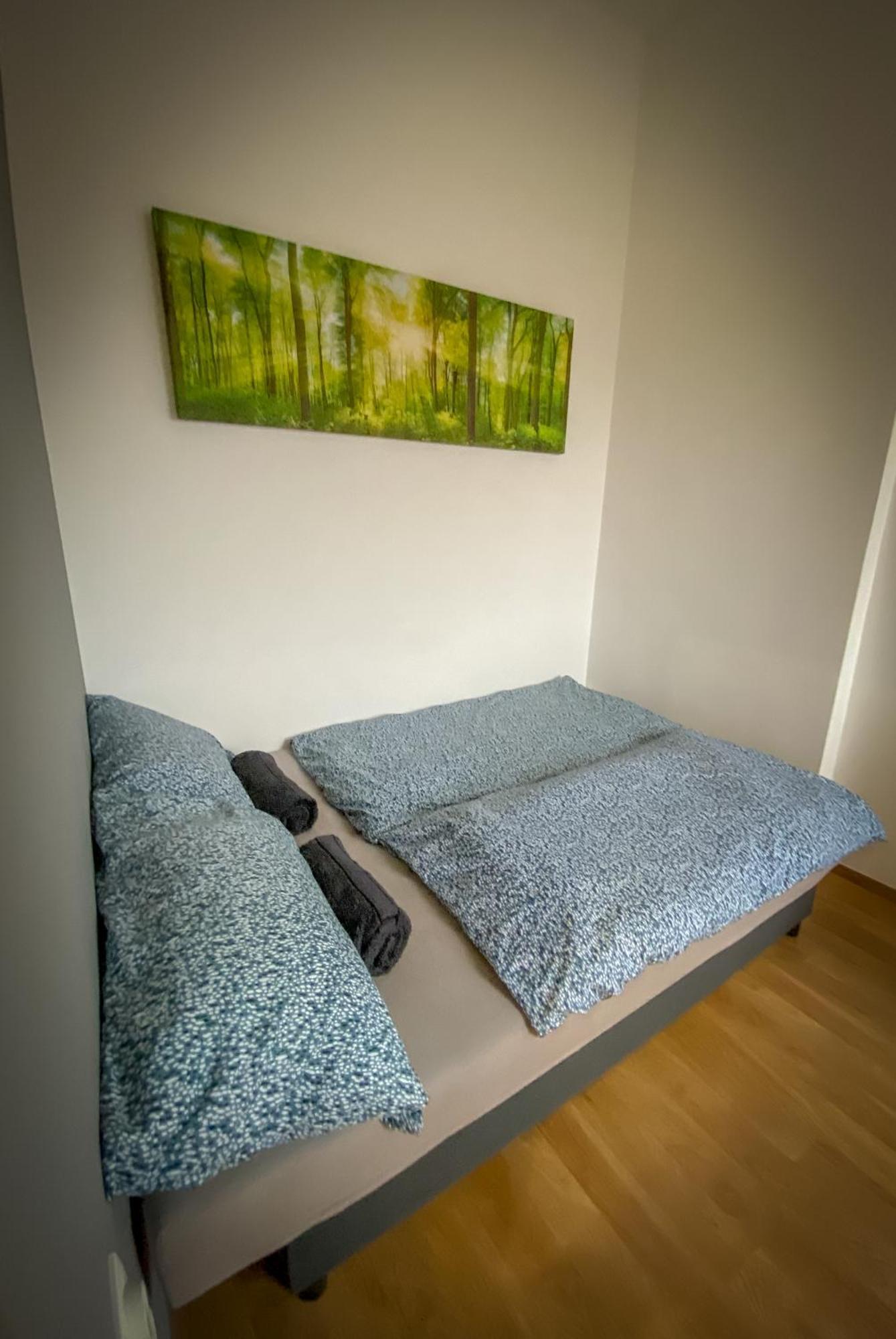 Lovely Central Apartment With Free Parking, Koezponthoz Koezeli 3 Szobas Lakas Győr Eksteriør billede